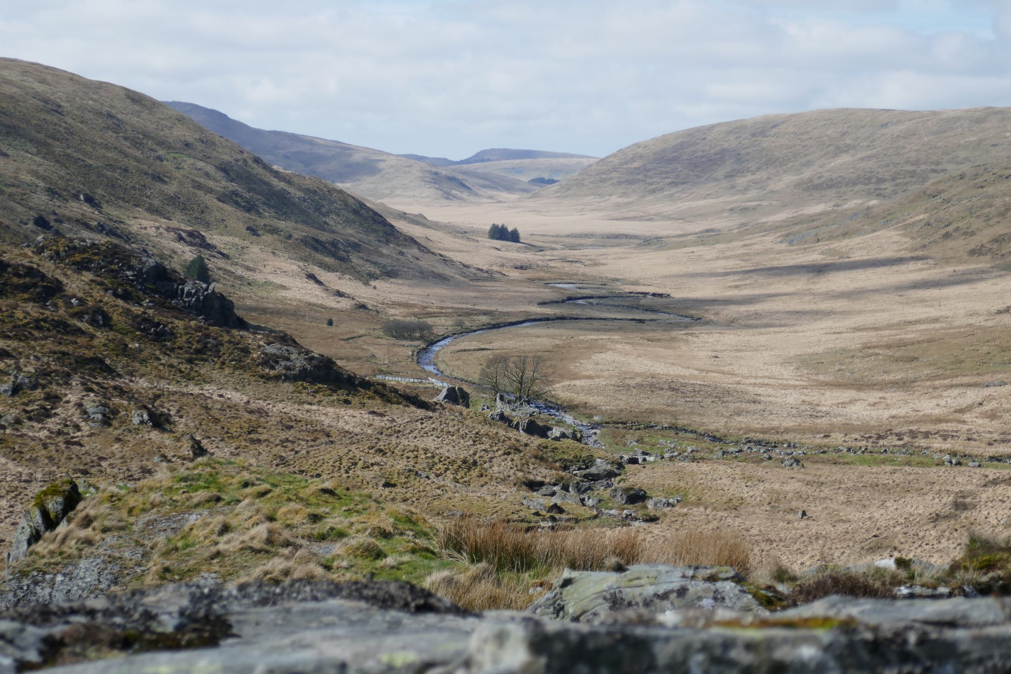 RachelSeabrook.net | Wild Walking | Cwm Gwerin |
 pic42